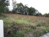  1566862-7020annonce120230317eNZtg.jpeg Maisons Open