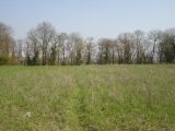  1520868-9781annonce120230121ALesV.jpeg Maisons Open