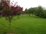  1520868-9781annonce220230121ngIc1.jpeg Maisons Open