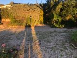  1614074-5622annonce320230524pBUPT.jpeg Maisons Open