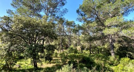 Toulon Terrain à bâtir - 1614332-3912annonce220230524xiZ9f.jpeg Maisons Open