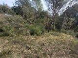  1613426-7034annonce120230523H44EH.jpeg Maisons Open
