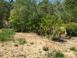  1615227-10488annonce1202305252O6g5.jpeg Maisons Open