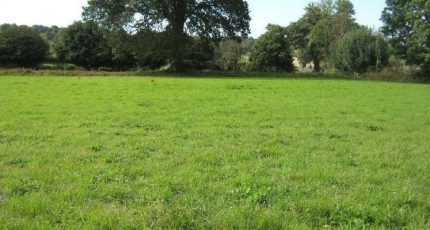 Fontenay-le-Pesnel Terrain à bâtir - 1614884-9930annonce120230525yhMb7.jpeg Maisons Open