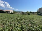  1614999-7058annonce220230525iubQQ.jpeg Maisons Open
