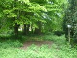  1611514-4370annonce1202305195KCGO.jpeg Maisons Open