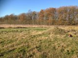  1551907-4643annonce120230223lfIoV.jpeg Maisons Open