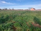  1616411-3421annonce120230526ToWs2.jpeg Maisons Open