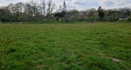 Oradour-sur-Glane Terrain à bâtir - 1613988-10515annonce320230524udJIB.jpeg Maisons Open