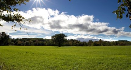 Langeais Terrain à bâtir - 1592854-5001annonce120230420Af2nK.jpeg Maisons Open
