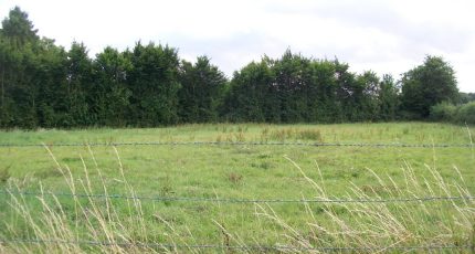 Allonne Terrain à bâtir - 1617571-3326annonce120230530ei3xA.jpeg Maisons Open