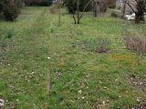  1552496-4643annonce1202302249GEJx.jpeg Maisons Open