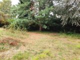  1552980-4643annonce120230224Tqhxq.jpeg Maisons Open