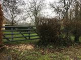  1553069-4643annonce120230224m3nJ0.jpeg Maisons Open