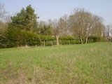  1569469-9781annonce1202303216TdTL.jpeg Maisons Open