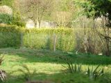  1574091-4353annonce120230327T3PRU.jpeg Maisons Open
