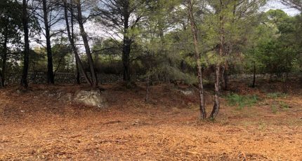 Draguignan Terrain à bâtir - 1545204-9269annonce120220905TR2zM.jpeg Maisons Open