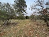  1561452-3951annonce220230309Of6Nw.jpeg Maisons Open