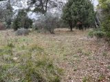  1561452-3951annonce120230309MNza9.jpeg Maisons Open