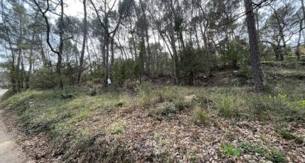 Lorgues Terrain à bâtir - 1587464-3951annonce120230413996WP.jpeg Maisons Open