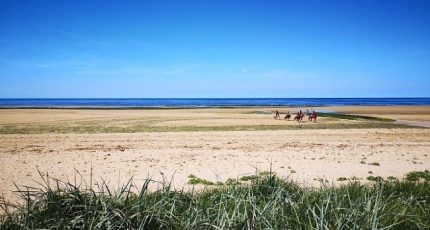 Courseulles-sur-Mer Terrain à bâtir - 1569847-10282annonce120230321ccn5P.jpeg Maisons Open