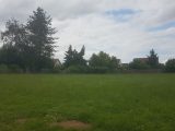  1571189-9835annonce120230323urCa5.jpeg Maisons Open