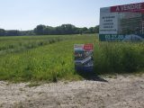  1617955-4439annonce1202305302zrkE.jpeg Maisons Open