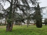  1618173-10419annonce120230530riTyO.jpeg Maisons Open
