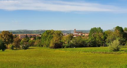 Albi Terrain à bâtir - 1620010-10419annonce120230601JRGGW.jpeg Maisons Open