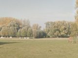  1610472-10130annonce120230517xlexm.jpeg Maisons Open