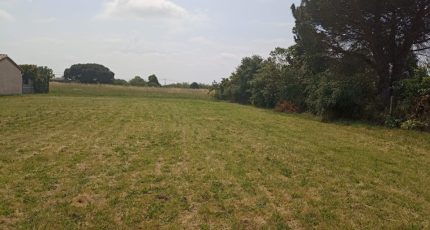 Cornebarrieu Terrain à bâtir - 1620189-10327annonce120230601gcoav.jpeg Maisons Open