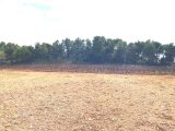  1626924-7052annonce220230323pJO6g.jpeg Maisons Open
