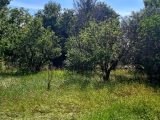  1627125-6929annonce320230609116Ds.jpeg Maisons Open