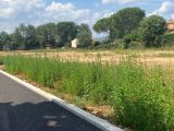  1627435-9599annonce220230609NyQ8E.jpeg Maisons Open