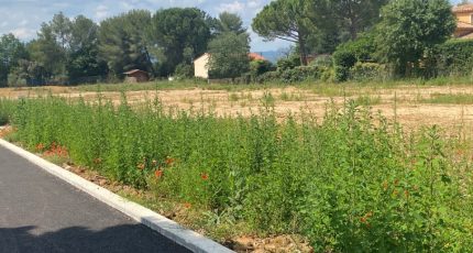 Pourrières Terrain à bâtir - 1627435-9599annonce220230609NyQ8E.jpeg Maisons Open
