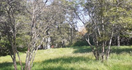 La Fare-en-Champsaur Terrain à bâtir - 1629121-7156annonce2202306122o9o1.jpeg Maisons Open