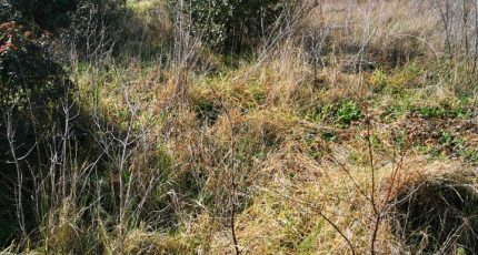 Aubagne Terrain à bâtir - 1629410-5374annonce1202306133lxJd.jpeg Maisons Open