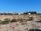  1629559-4667annonce120230613vRSZo.jpeg Maisons Open
