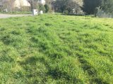  1547893-5312annonce120230218zdUFE.jpeg Maisons Open