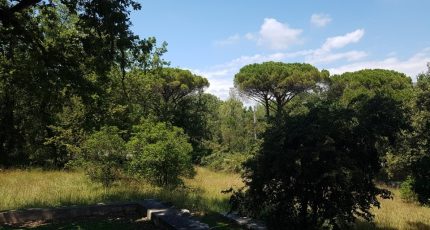 La Roquette-sur-Siagne Terrain à bâtir - 1631924-1837annonce120230615ta0lM.jpeg Maisons Open