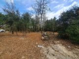  1622457-9707annonce320230605Q3IOJ.jpeg Maisons Open