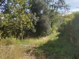  1622591-9707annonce2202306051ETTG.jpeg Maisons Open