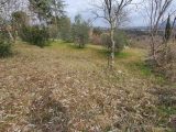  1622728-9707annonce220230605X0Ln3.jpeg Maisons Open