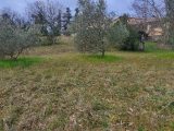  1622728-9707annonce420230605SyJMw.jpeg Maisons Open