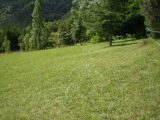  1622877-9707annonce120230605eM3eA.jpeg Maisons Open