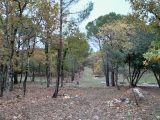  1629277-10122annonce2202302131nAPK.jpeg Maisons Open