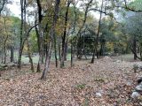  1629277-10122annonce4202302136s01a.jpeg Maisons Open