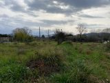  1629283-10122annonce120230322nEGh1.jpeg Maisons Open