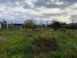  1629283-10122annonce320230322Cl60I.jpeg Maisons Open