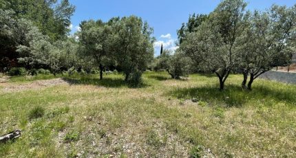 Trans-en-Provence Terrain à bâtir - 1618150-4529annonce220230530JReRB.jpeg Maisons Open